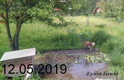 пер. Петренко, конец огорода, подтопление продолжается, 12 мая 2019 года